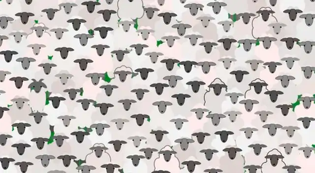 Retos visuales encuentra a la cabras entre las ovejas