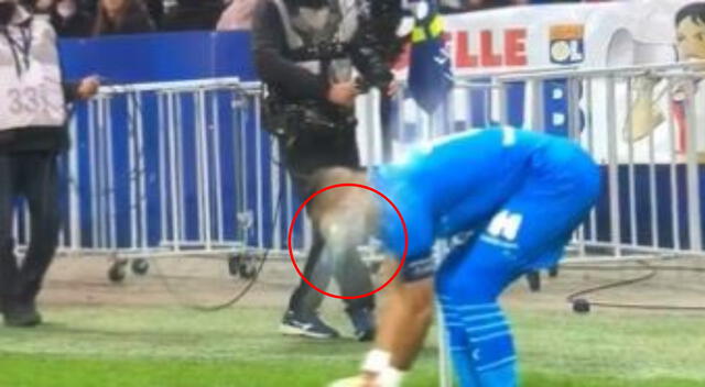 Botellazo contra Dimitri Payet