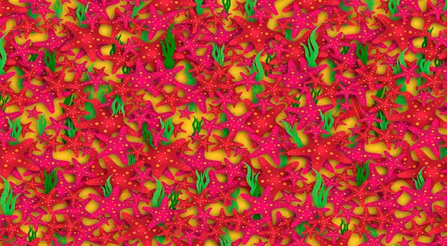 Reto visual nivel avanzado: encuentra el avión oculto entre las estrellas de mar