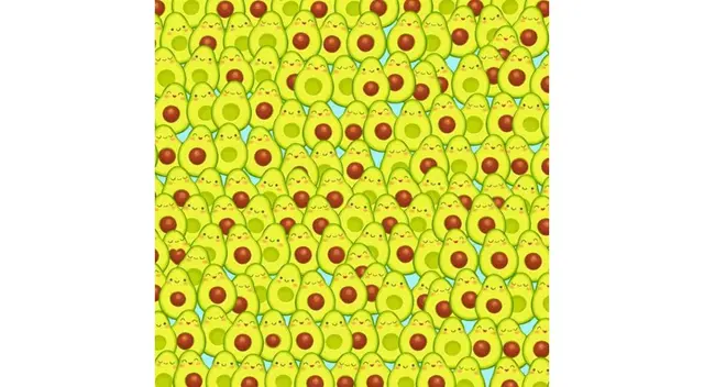 reto visual, reto viral reto visual, reto viral