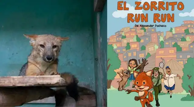 Zorro 'Run Run' será protagonista de una obra de teatro sobre el cuidado animal Zorro 'Run Run' será protagonista de una obra de teatro sobre el cuidado animal