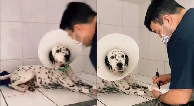 Veterinario es viral por emotivo gesto que tuvo con una mascota lastimada. Veterinario es viral por emotivo gesto que tuvo con una mascota lastimada.