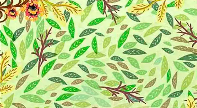 Reto visual: ¿Logras ver al insectos? Encuéntralo en tan solo 15 segundos