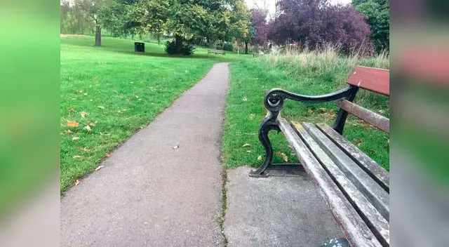 Reto visual: ¿Tienes buena visión? Trata de encontrar al perro oculto en la imagen Reto visual: ¿Tienes buena visión? Trata de encontrar al perro oculto en la imagen