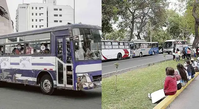 Dueño de bus sobre marcha contra Pedro Castillo