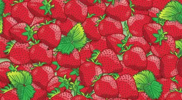 Encuentra las cuatro mariquitas entre las fresas