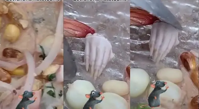TikTok: sujeto compra ceviche en carretilla y encuentra la pata de un roedor TikTok: sujeto compra ceviche en carretilla y encuentra la pata de un roedor