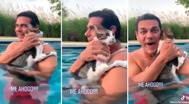 Gato pide ayuda con un peculiar 'Me ahogo' desde una piscina - VIDEO Gato pide ayuda con un peculiar 'Me ahogo' desde una piscina - VIDEO