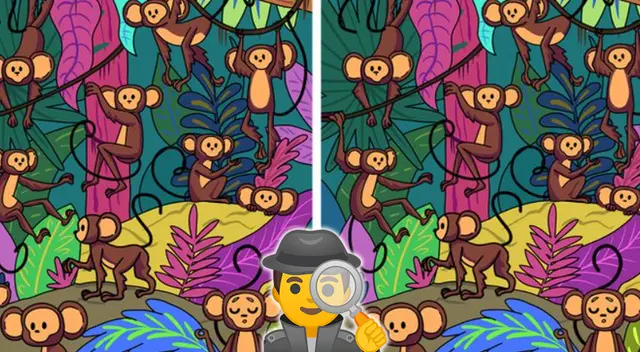 Reto visual: encuentra el objeto que falta en la segunda foto