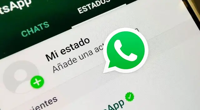 conoce cómo saber que contacto revisa tu estado en la aplicación conoce cómo saber que contacto revisa tu estado en la aplicación