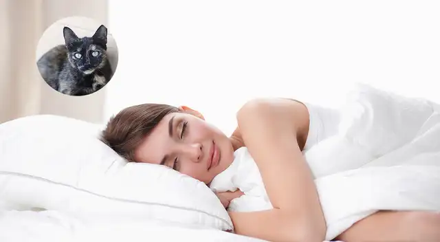 ¿Qué significa soñar con un gato negro o blanco? ¿Qué significa soñar con un gato negro o blanco?