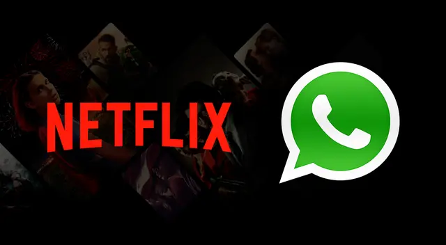 Netflix activó una cuenta de WhatsApp. Netflix activó una cuenta de WhatsApp.