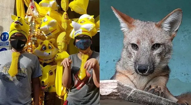 Viral: comerciantes venden gorros del 'Zorrito Run Run' para celebrar el Año Nuevo Viral: comerciantes venden gorros del 'Zorrito Run Run' para celebrar el Año Nuevo