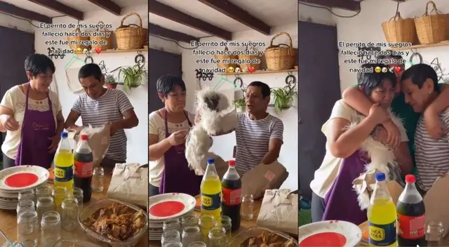 TikTok: pareja rompe en llanto al recibir un peluche de su perro fallecido - VIDEO