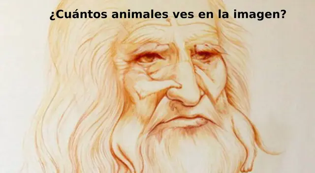 Reto visual nivel avanzado: ¿Cuántas caras ves en la imagen de Da Vinci? Reto visual nivel avanzado: ¿Cuántas caras ves en la imagen de Da Vinci?