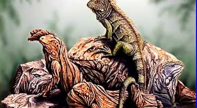 Reto visual: ¿Cuántas iguanas ves? Resuelve la incógnita en 10 segundos