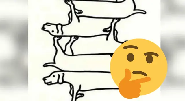 Reto visual sobre el número de perros en la imagen. Reto visual sobre el número de perros en la imagen.