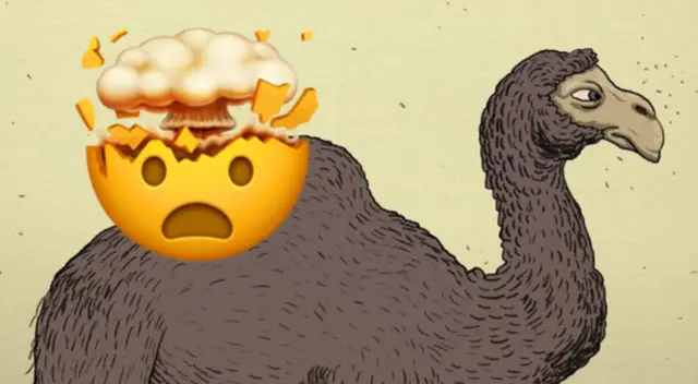 Reto visual sobre el camello y su jinete. Reto visual sobre el camello y su jinete.