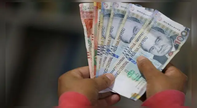 El subsidio se entregará una sola vez en el año, principalmente, a los trabajadores del sector público.