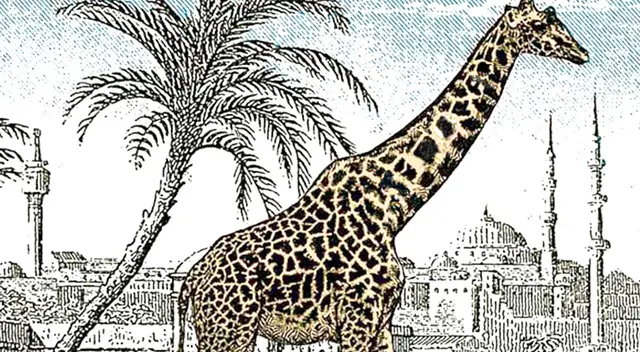 Reto visual: ¿Dónde está la segunda jirafa escondida en la imagen? Solo el 10% lo logró