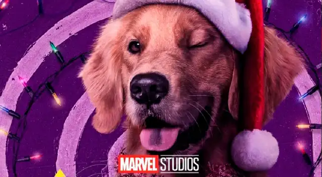 Hawkeye: lanzan video de 'Lucky, el Perro Pizza' mostrando su lado más adorable Hawkeye: lanzan video de 'Lucky, el Perro Pizza' mostrando su lado más adorable
