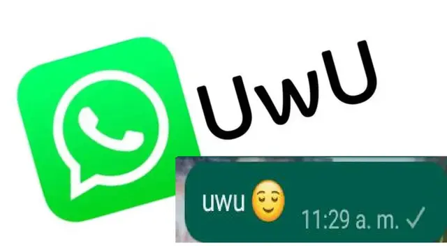 WhatsApp: ¿Qué significa uwu y por qué se usa tanto? WhatsApp: ¿Qué significa uwu y por qué se usa tanto?