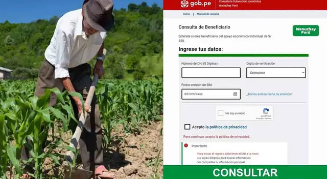 Consulta si accedes al bono 350 soles que otorga el Gobierno
