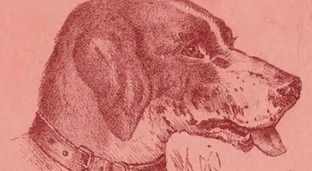 Reto visual: ¿Dónde está el dueño del perro? Solo 15% resolvió el acertijo