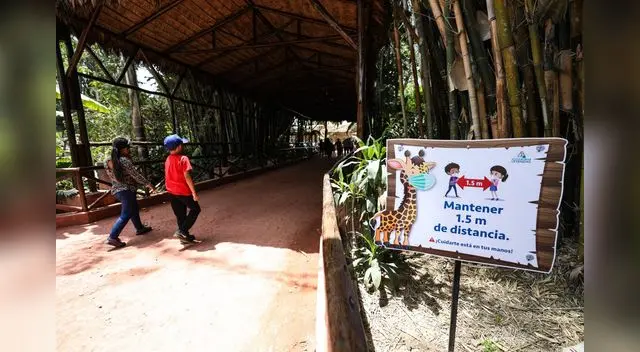 ¿Cómo ingresar gratis al Parque de las Leyendas, Pantanos de villa y Circuito Mágico?