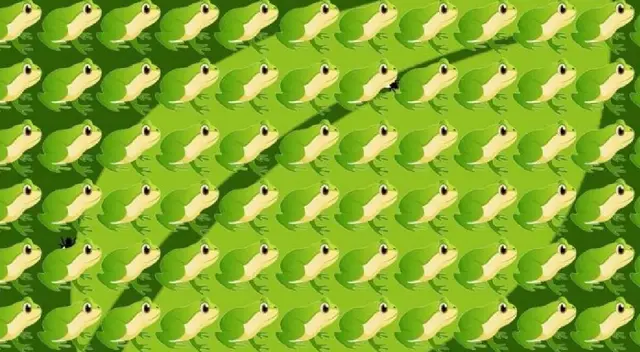 Reto visual nivel Pro: Encuentra las moscas antes en sólo 5 segundos Reto visual nivel Pro: Encuentra las moscas antes en sólo 5 segundos