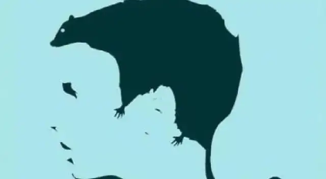 Test visual: Descubre si tienes problemas en el amor y como solucionarlos Test visual: Descubre si tienes problemas en el amor y como solucionarlos