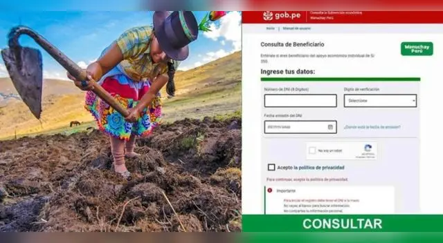 Cuáles son los requisitos para acceder al bono y cómo cobrar HOY