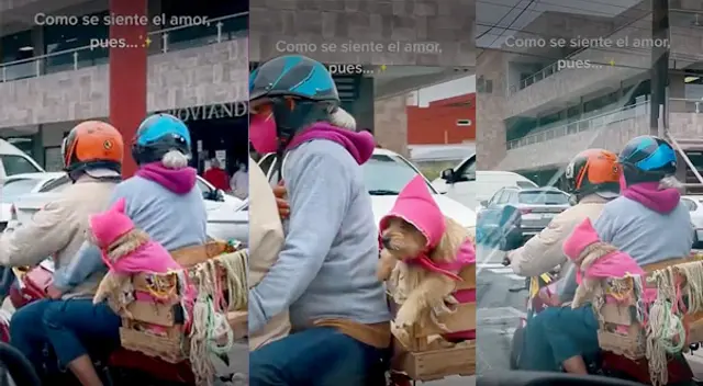 Perrita pasea en moto al lado de sus dueños. Perrita pasea en moto al lado de sus dueños.
