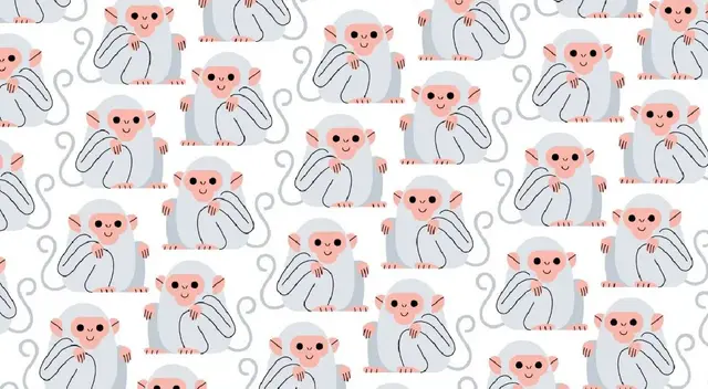 Retos visuales: ¿Podrás encontrar los osos entre los monos? Tienes 10 segundos Retos visuales: ¿Podrás encontrar los osos entre los monos? Tienes 10 segundos