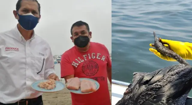 Ministro de Producción sobre pesca contaminada: Ministro de Producción sobre pesca contaminada: