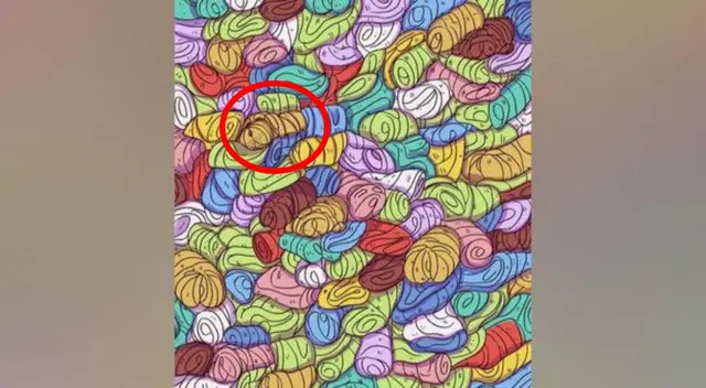 acertijo visual acertijo visual