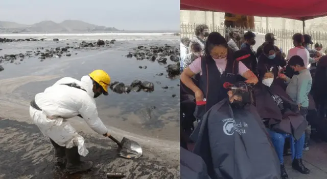 Ministerio de Ambiente afirma que cabello es Ministerio de Ambiente afirma que cabello es