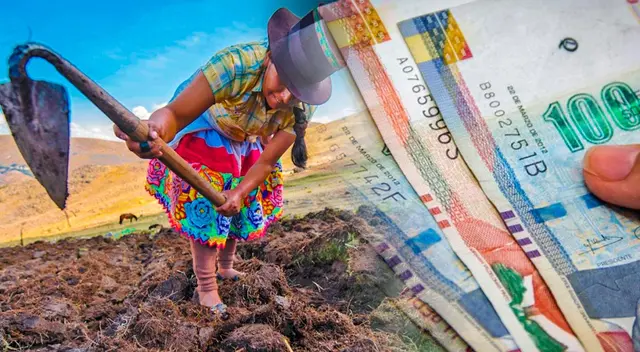Bono Wanuchay: Revisa con tu DNI y cuándo te corresponde cobrar los 350 soles Bono Wanuchay: Revisa con tu DNI y cuándo te corresponde cobrar los 350 soles