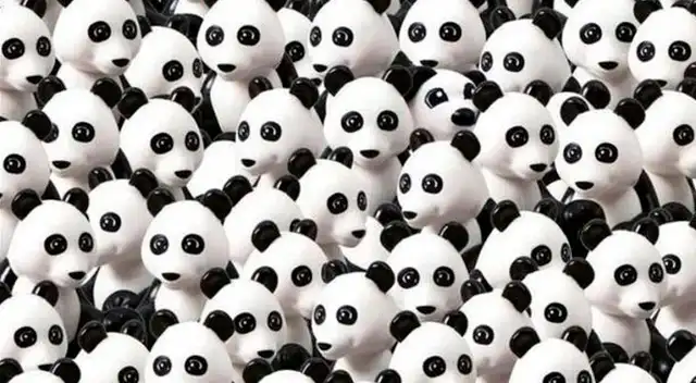 Reto viral: Sé capaz de hallar al perro entre los pandas; apenas el 10% lo consiguió Reto viral: Sé capaz de hallar al perro entre los pandas; apenas el 10% lo consiguió