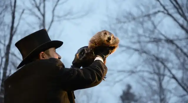 Día de la marmota: conoce todos los detalles de la particular celebración.