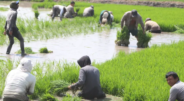 Bono Wanuchay: cómo cobrar el subsidio.   