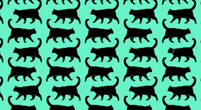 Reto visual: ¿Puedes diferencias a los 3 gatos con collar del resto? Reto visual: ¿Puedes diferencias a los 3 gatos con collar del resto?