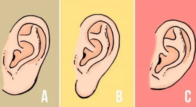 Test de personalidad: Conoce más sobre ti con el tipo de tu oreja Test de personalidad: Conoce más sobre ti con el tipo de tu oreja