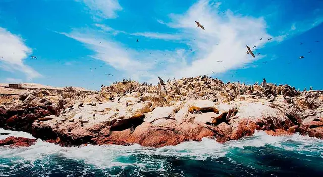 Con unos simples pasos podrás adquirir tus entradas online para visitar hermosos lugares de nuestro país. Con unos simples pasos podrás adquirir tus entradas online para visitar hermosos lugares de nuestro país.
