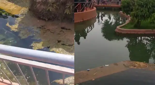 Este peculiar hecho despertó el interés de muchos internautas por ir a ese pozo de los deseos. Este peculiar hecho despertó el interés de muchos internautas por ir a ese pozo de los deseos.