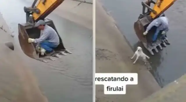 Obrero puso en riesgo su vida para rescatar a tierno perrito Obrero puso en riesgo su vida para rescatar a tierno perrito