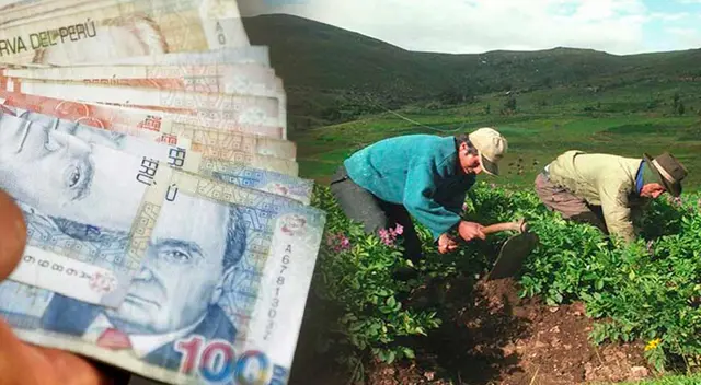 Bono Wanuchay - fecha de pago: Conoce el cronograma oficial para el desembolso de s/350 Bono Wanuchay - fecha de pago: Conoce el cronograma oficial para el desembolso de s/350