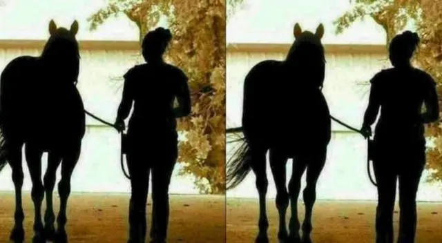 ¿El jinete y su caballo se acercan o alejan? Resuelve este complicado reto visual ¿El jinete y su caballo se acercan o alejan? Resuelve este complicado reto visual