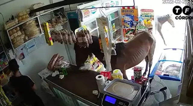 Caballos asustan a vendedora y su reacción se vuelve viral Caballos asustan a vendedora y su reacción se vuelve viral