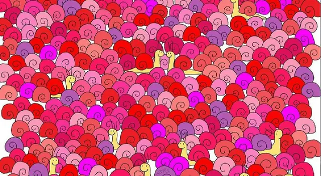 Reto Visual: Localiza al corazón perdido entre los caracoles Reto Visual: Localiza al corazón perdido entre los caracoles